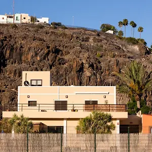 Olivos , Playa de Santiago (Isla de la Gomera) España
